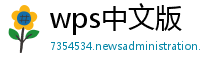 wps中文版